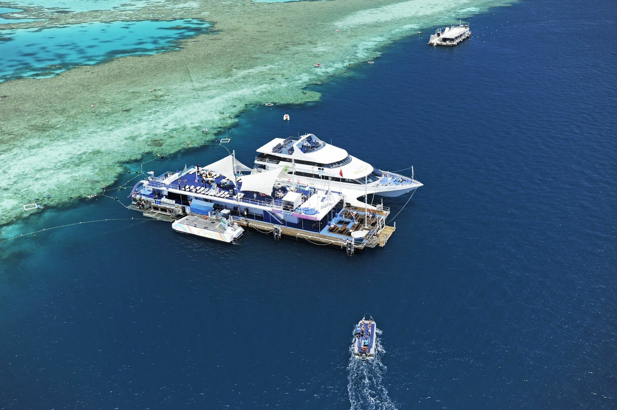 Palm Bungalows Isla Hamilton Exterior foto